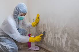 Best Asbestos and Lead Testing During Mold Inspection  in Lake Carmel, NY